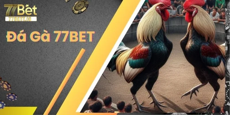 Website sảnh chơi đá gà 77BET được đánh giá cao bởi tính chuyên nghiệp, bảo mật.